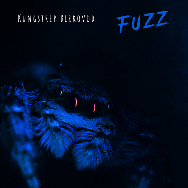 Kungstrep Birkovod – FUZZ (new version)