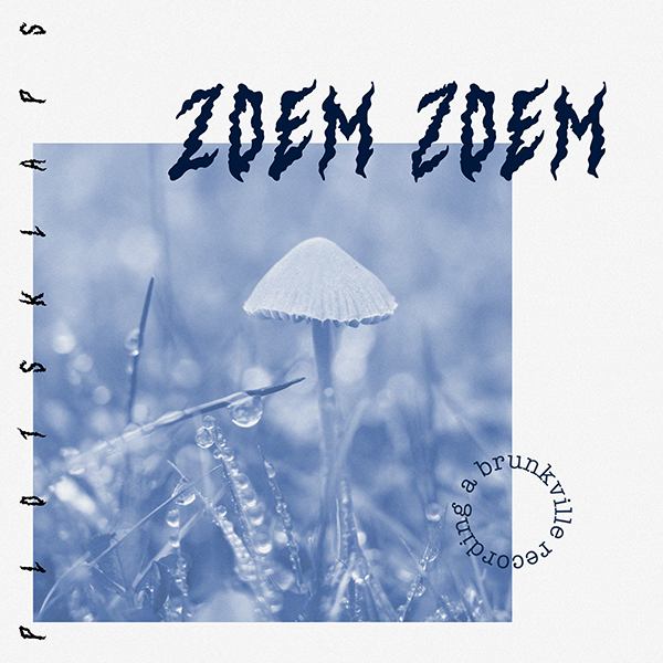 Zoem Zoem – Plotsklaps